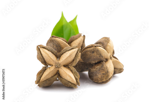 Nuts Incas , sacha inchi peanut seed an isolated on white background photo