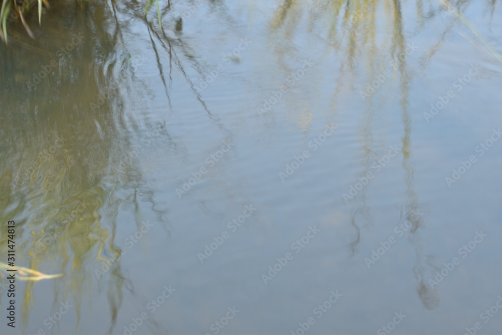 Water flow in the small canal near the paddy fields, at the morning