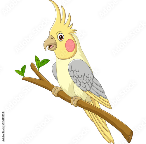 Cartoon yellow cockatiels sitting on a tree branch