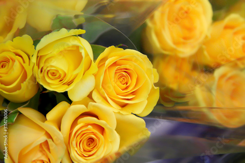 Yellow roses bouquet blooming top view in translucent plastic closeup scenic summer gift background