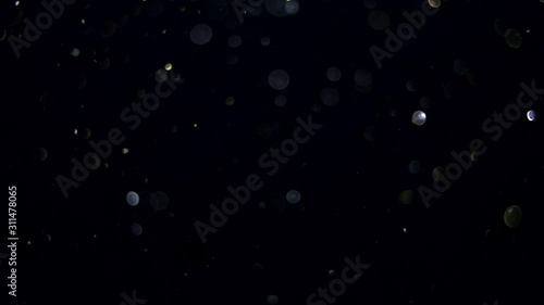 particles on black background, abstract overlay with particles and bokeh