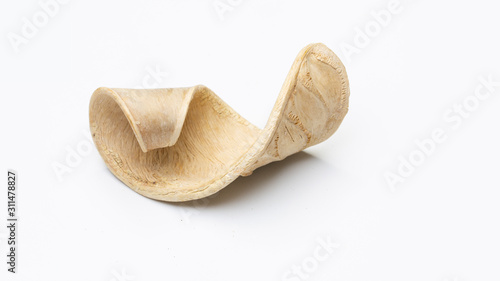 Nature object for decoration very detailed on texture. isolated on a white background with clipping path.
