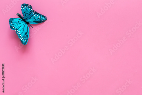 Photography Beautiful tropical butterfly on pink background top-down copy space