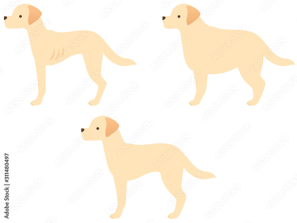 犬の体型三種類のイラストアイコンセット（肥満・標準・痩せている）
