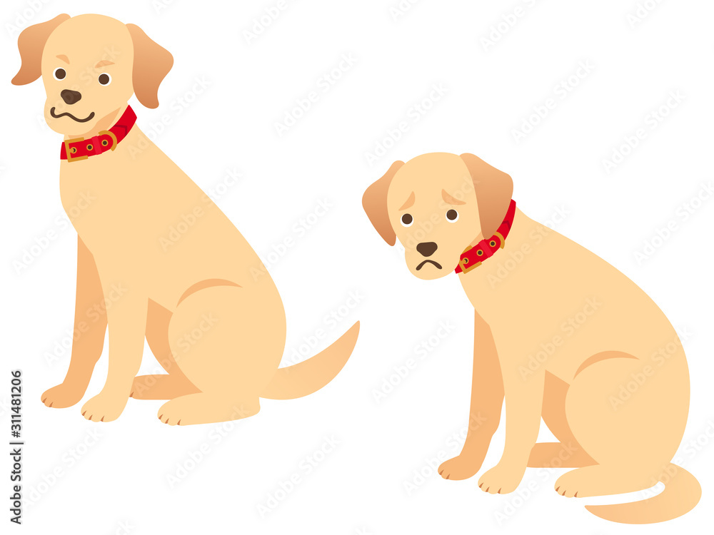 凛々しい顔 上目遣いで顔色をうかがう犬のイラストセット Stock Vector Adobe Stock