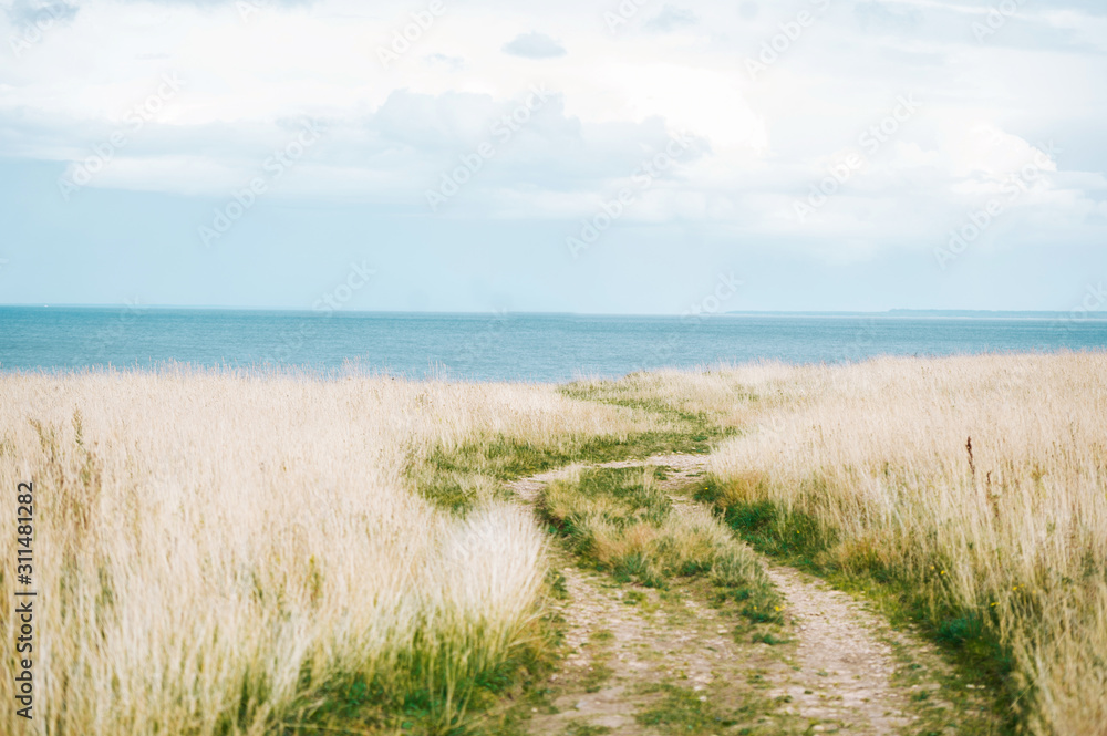Footpath approaches beautiful the edge of the rocky coast of the Baltic sea. Footpath approaches beautiful the edge of the rocky coast of the Baltic sea.