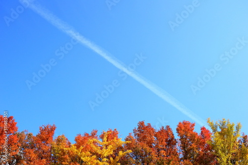 아름다운 가을 풍경 Stock Photo | Adobe Stock