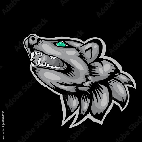 head of civet cat 