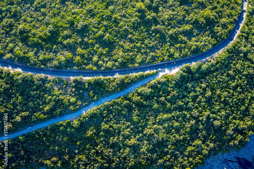 Aerial top view of a country road through a fir forest in summer