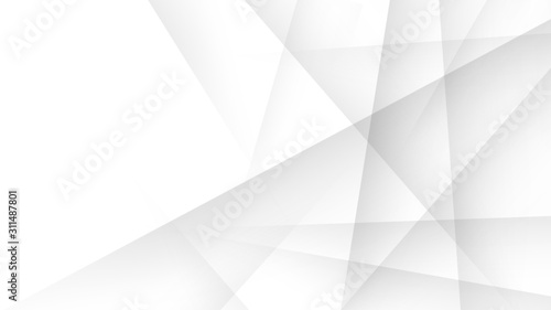 Abstract white gray background for book design