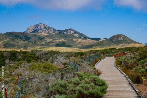 Hollister peak and boardwalk at Elfin forest Los Osos Bay wood California USA.