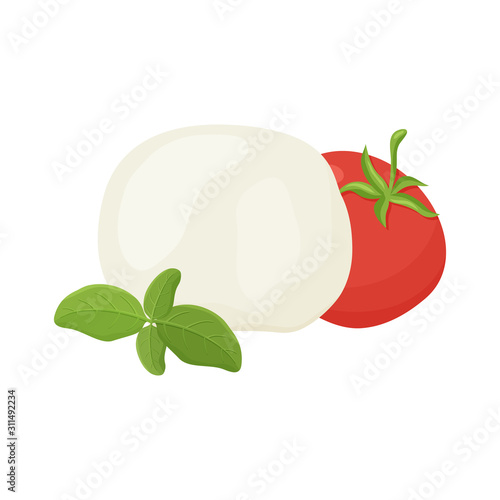 Mozzarella ball, tomato, green basil branch. Hand drawn cartoon illustration. Handmade cheese. Isolated vector image on white background. Color flat clip art