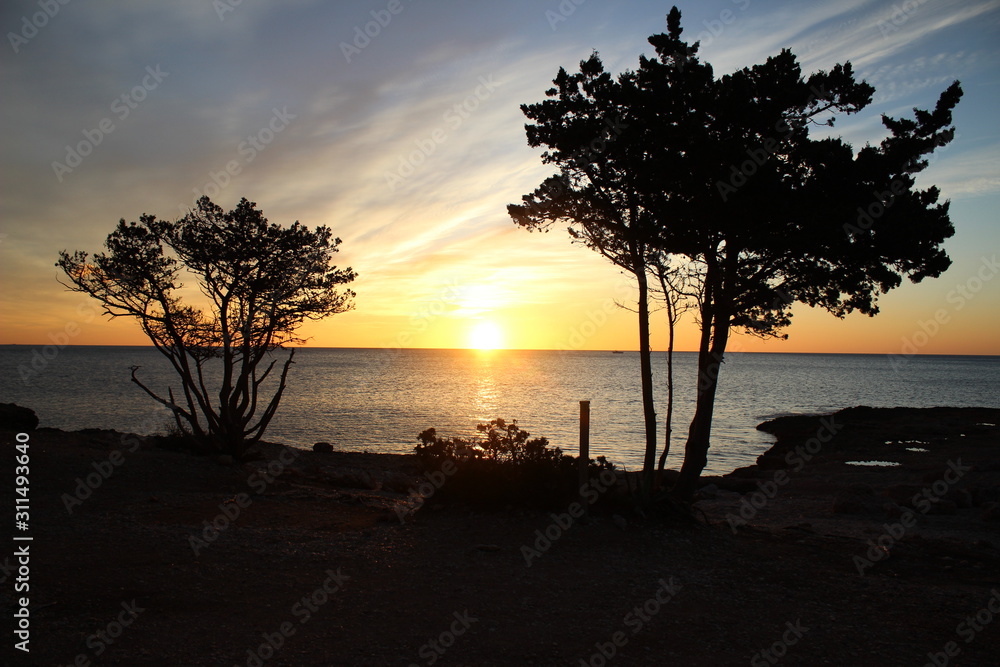 Sunrise sea water tree clouds