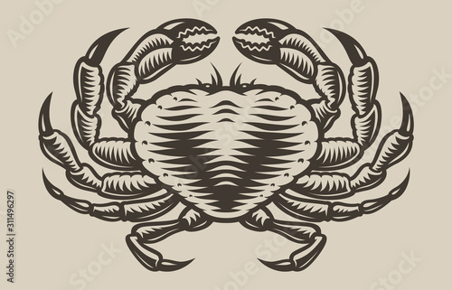 Illustration of a sea crab in engraving style