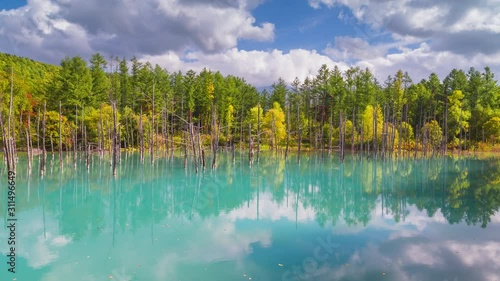4K resolution time lapse of Shirogane blue pond in Biei town, Hokkaido, Japan