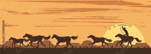 Silhouette of a cowboy chasing wild horses in desert, Vector