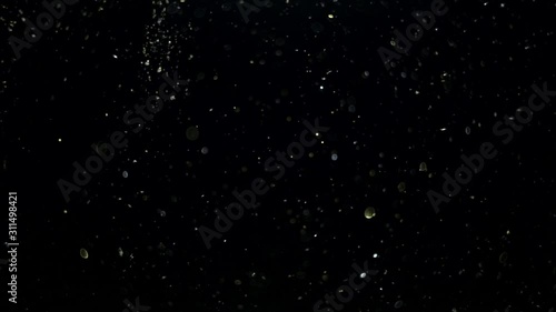 particles on black background, abstract overlay with particles and bokeh