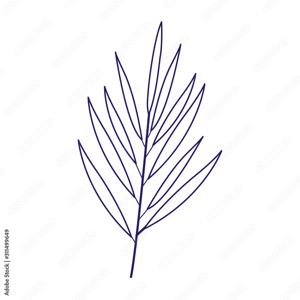 tropical leaf icon, flat design tropical leaf icon, flat design