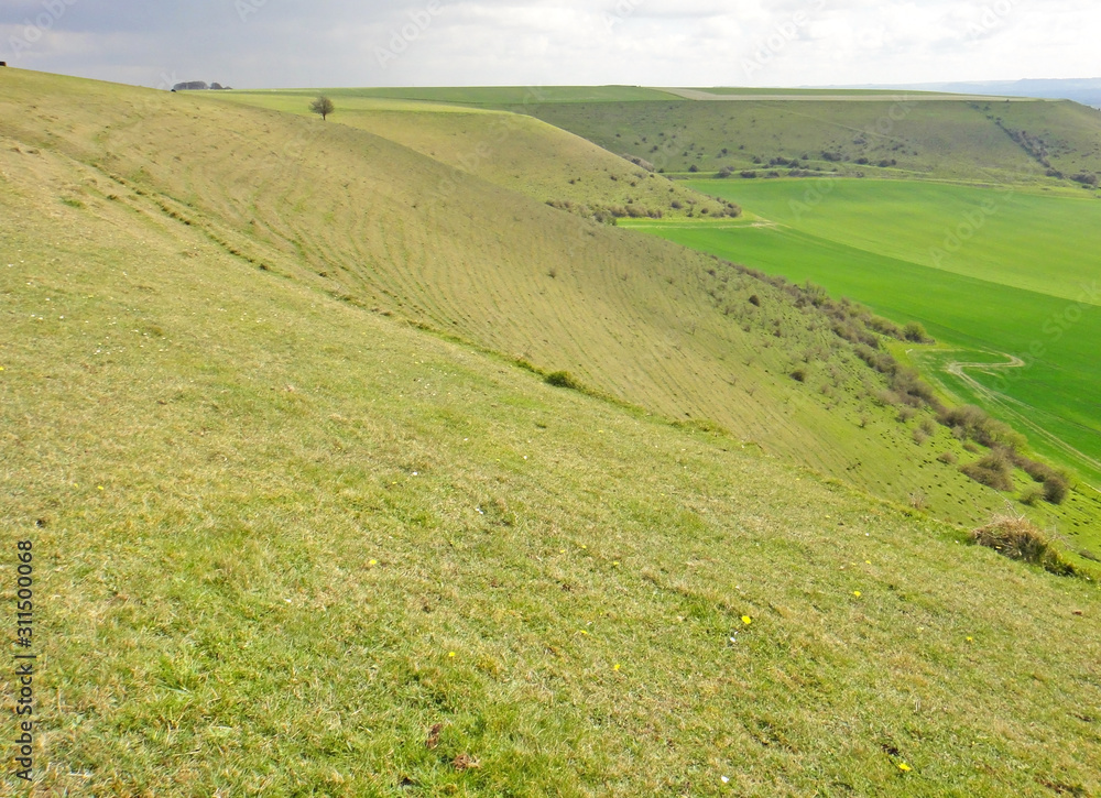 Hills at Mere in Wiltshire	