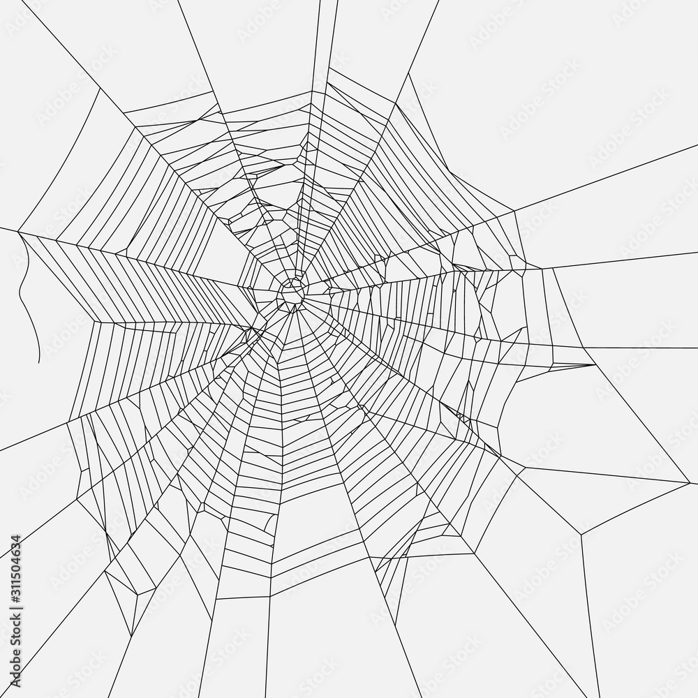 Cobweb vector decorative element. Spiderweb object on isolated background.