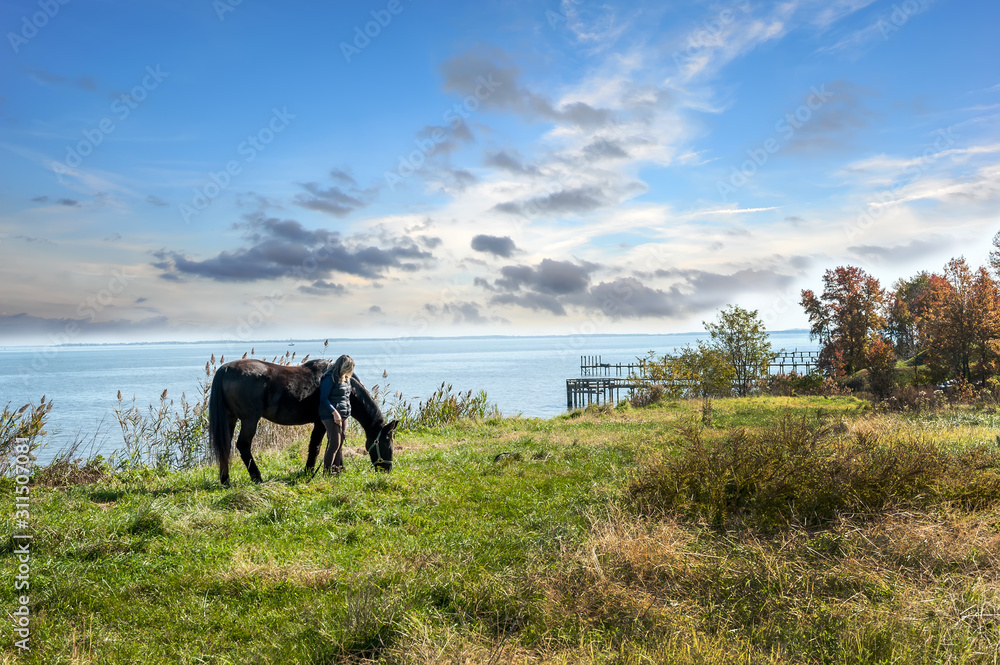 Female grazing her horse in a grassy field overlooking the Chesapeake bay with Autumn colors Female grazing her horse in a grassy field overlooking the Chesapeake bay with Autumn colors