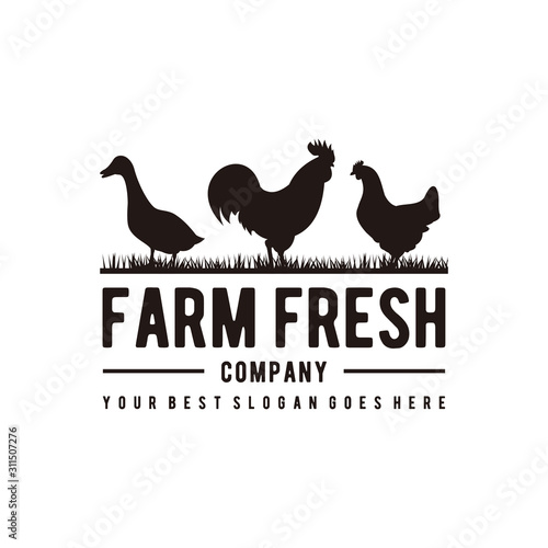 farm fresh logo design inspiration