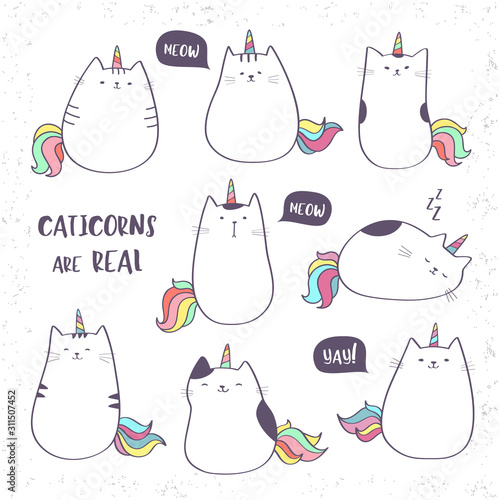 Set of cute vector unicorn cats or caticorns, funny doodle cats with unicorns horns and tails, Caticorns are real photo