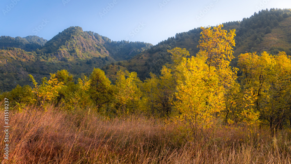 Layers of autumn colours in the Zabarwan Range in Srinagar, Kashmir