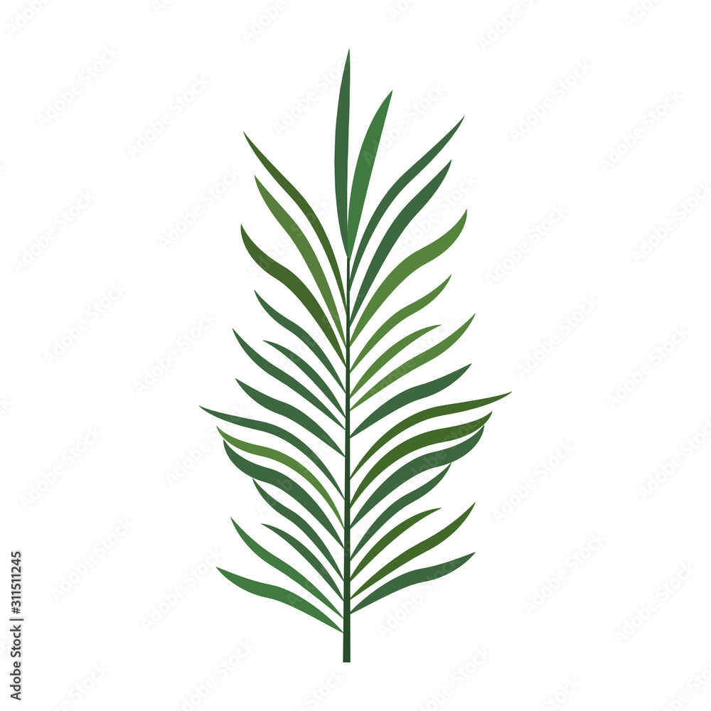 tropical leaf icon, colorful design