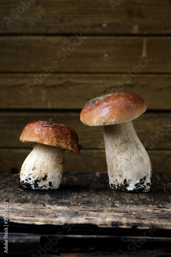 three porcini mushrooms, freshly picked, lying on a dark background.
