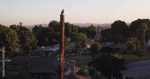 Domesticated, hunting trained eagle observing the small town while sitting on the pole, aerial parallax shot photo