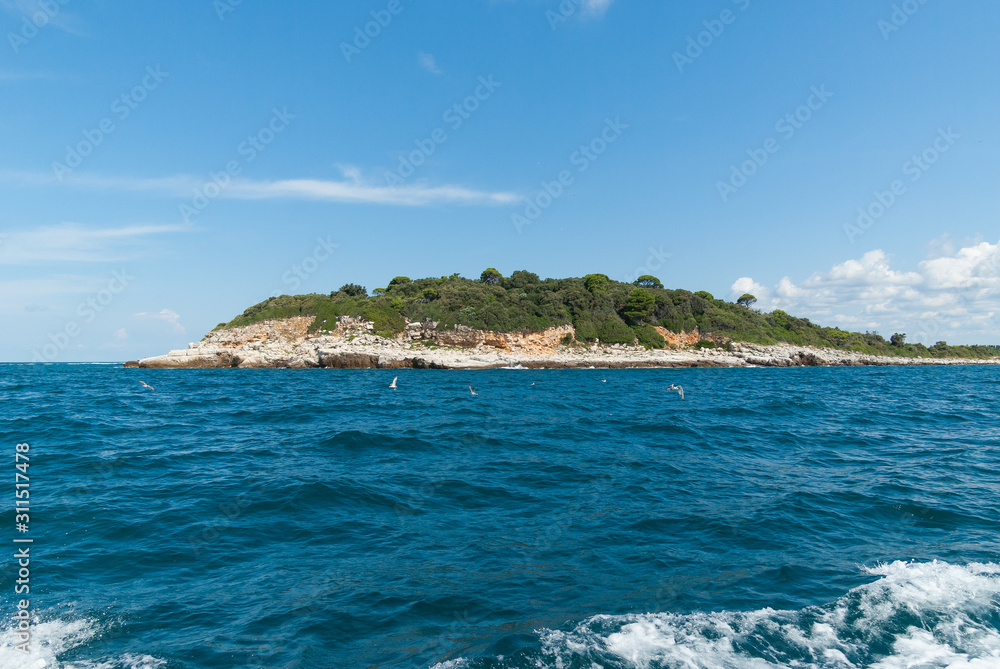 View of the sea on a sunny summer day. Seagulls circle over turquoise water. Istria, Croatia View of the sea on a sunny summer day. Seagulls circle over turquoise water. Istria, Croatia