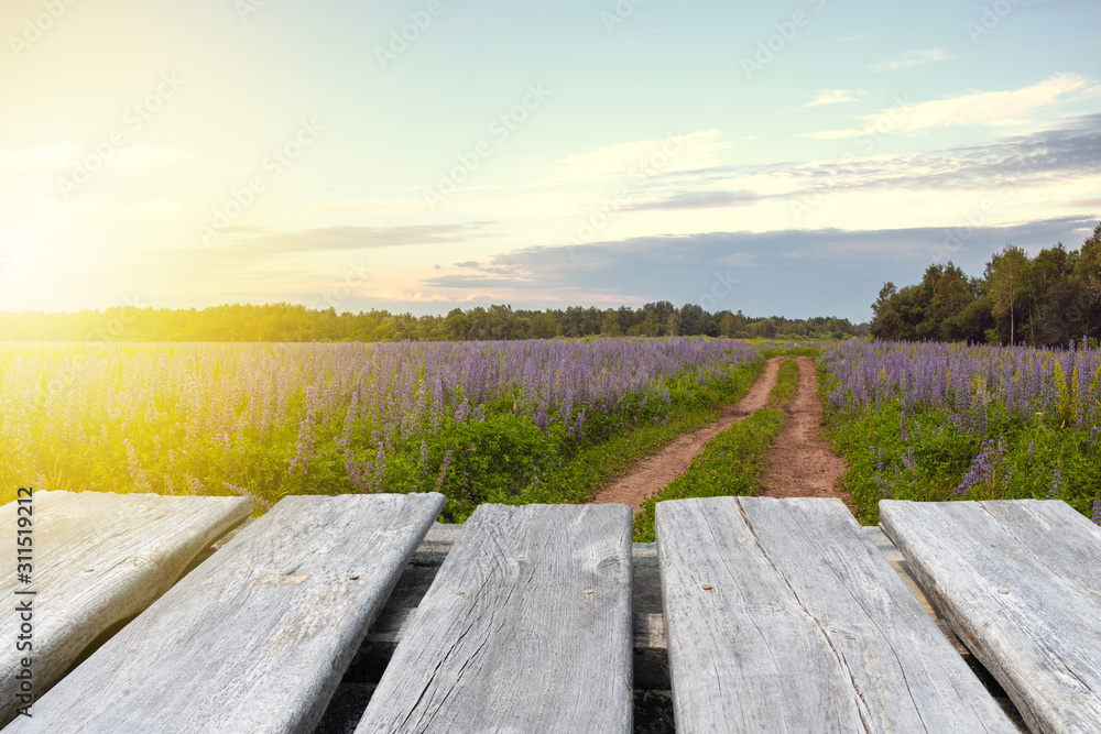 Table in the field