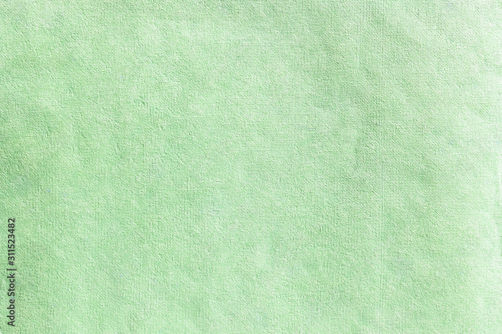 Fototapeta premium Old fine kraft Green paper background texture