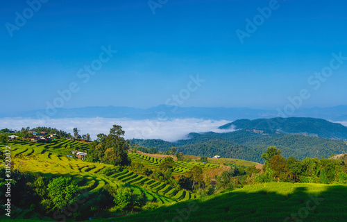 Beautiful landscape view of green rice terraces in high mountainmisty in morning sunrise time  in Mae-Jam   Chaing Mai Province   Thailand  Asia