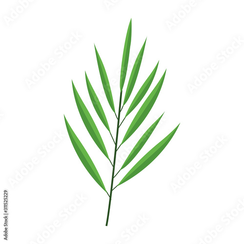 tropical leaf icon image