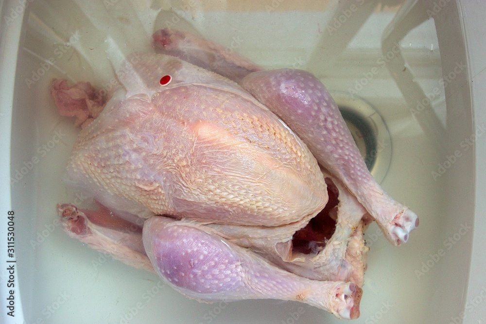 Raw chicken immersed in water at a sink to clean and prepare food. Top view soft focus at foreground and background Raw chicken immersed in water at a sink to clean and prepare food. Top view soft focus at foreground and background