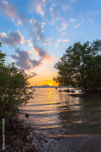 sunset above mangrove forest at Klong Mudong Phuket.. Mudong canal connect to Chalong bay there have perfect mangrove forests. © Narong Niemhom