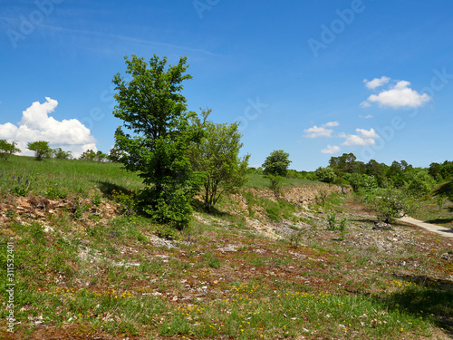 Landschaft im NSG Sodenberg in der Vorderrhön bei Hammelburg, Landkreis Bad Kissingen, Unterfranken, Franken, Bayern, Deutschland