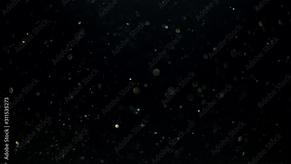 particles on black background, abstract overlay with particles and bokeh