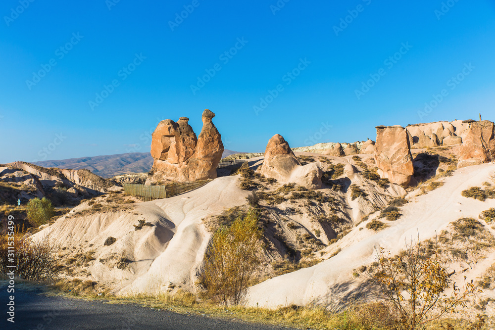 Camel Rock, Devrent Valley, Goreme, Nevsehir, Turkey