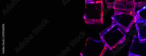 Banner. Ice cube. Melting ice cubes with  pink and purple backlight on black background ,left empty space under the inscription. Macro horizontal photography