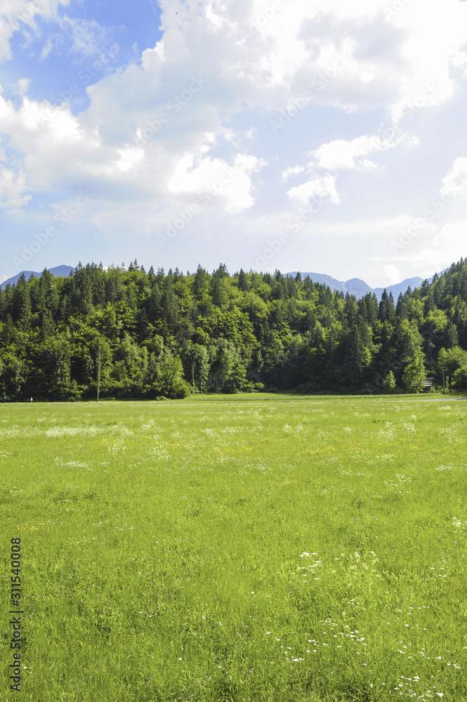 Wiese, Immobilien, Slowenien, Nationalpark Triglav, Jereka