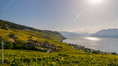 Lavaux