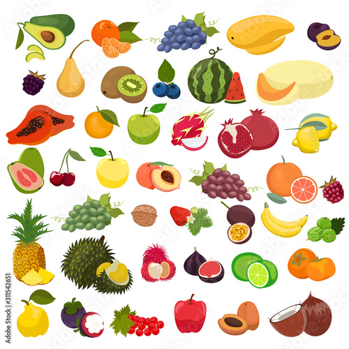 Fototapeta Naklejka Na Ścianę i Meble -  Set of fruits isolated on a white background. Vector graphics.