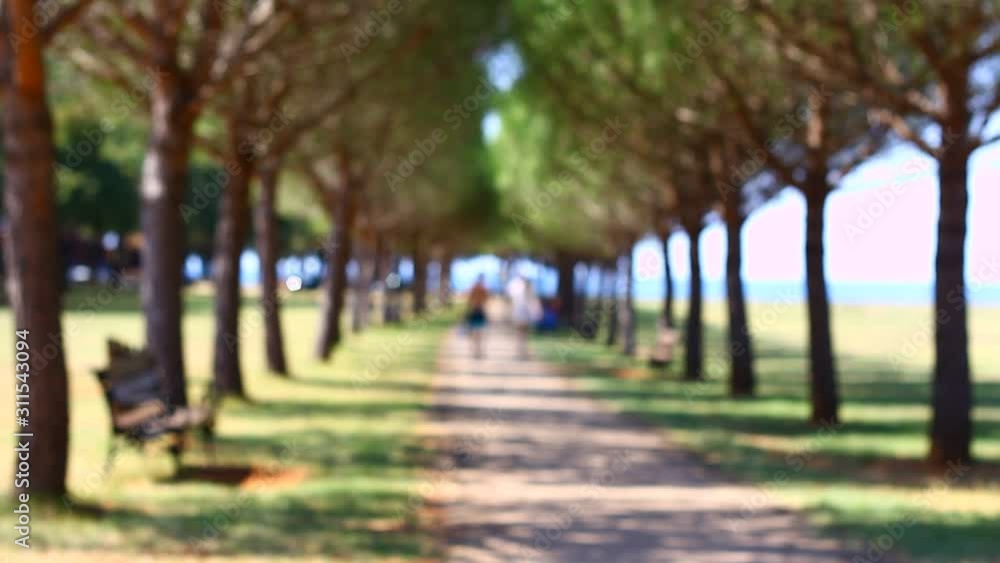 People walking in a park, near the sea on a sunny day. People walking in a park, near the sea on a sunny day.