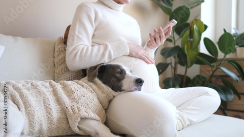 Closeup Of Pregnant Woman Using Smartphone With Her Dog In Cozy Knit Sweater.