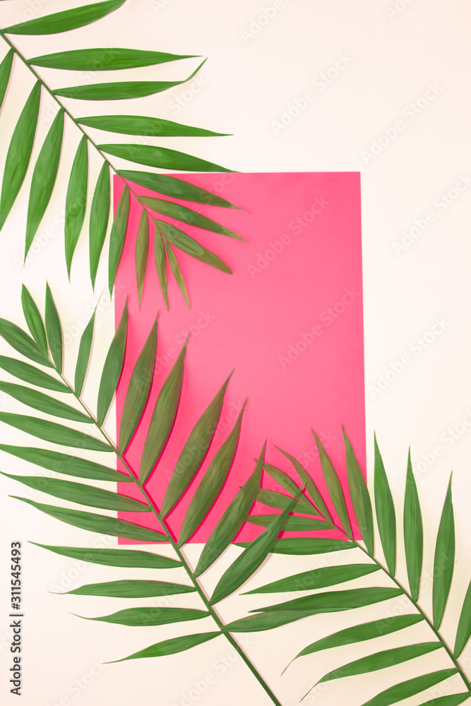  Branches, palm leaves on a pink background. Top view with copy space. Vertical photo