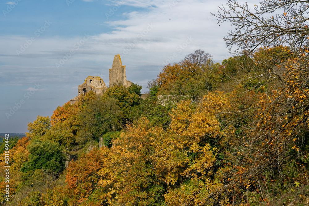 Burgruine Homburg und Naturschutzgebiet Ruine Homburg,Unterfranken, Franken, Bayern, Deutschland