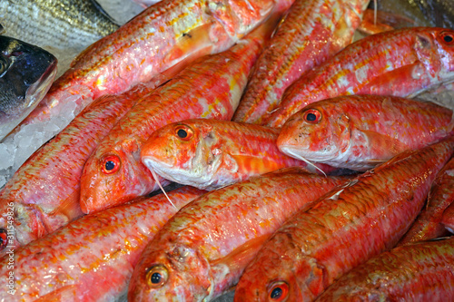 View of red mullet (rouget barbet) fish at a French seafood market